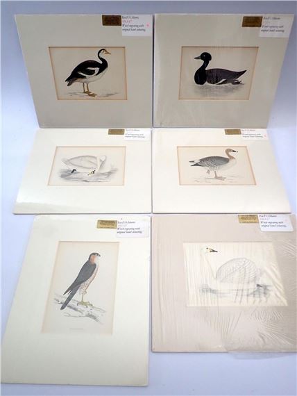 Rev F O Morris - set of six  from Morris's British Bird, unframed by Francis Orpen Morris, 1870