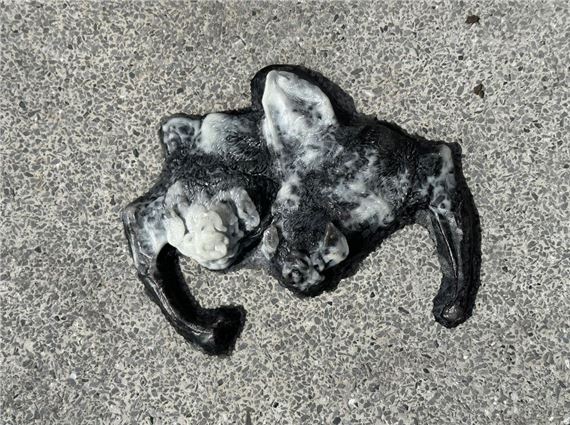 D Rosen: Vamp - Comfort Station