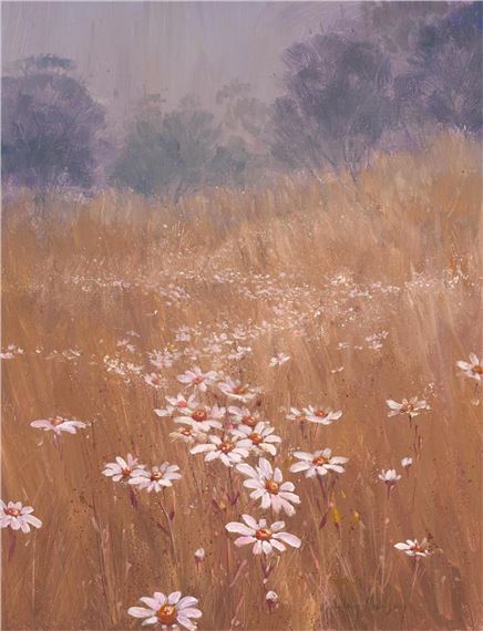Daisies in the Mist - Helen Hudson
