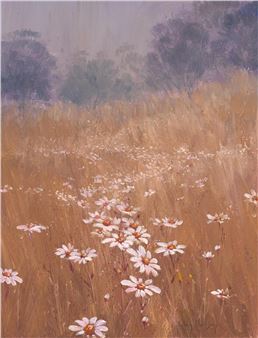 Daisies in the Mist - Helen Hudson