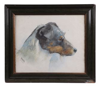 Mark - study of a Jack Russell - Joanna Saunt