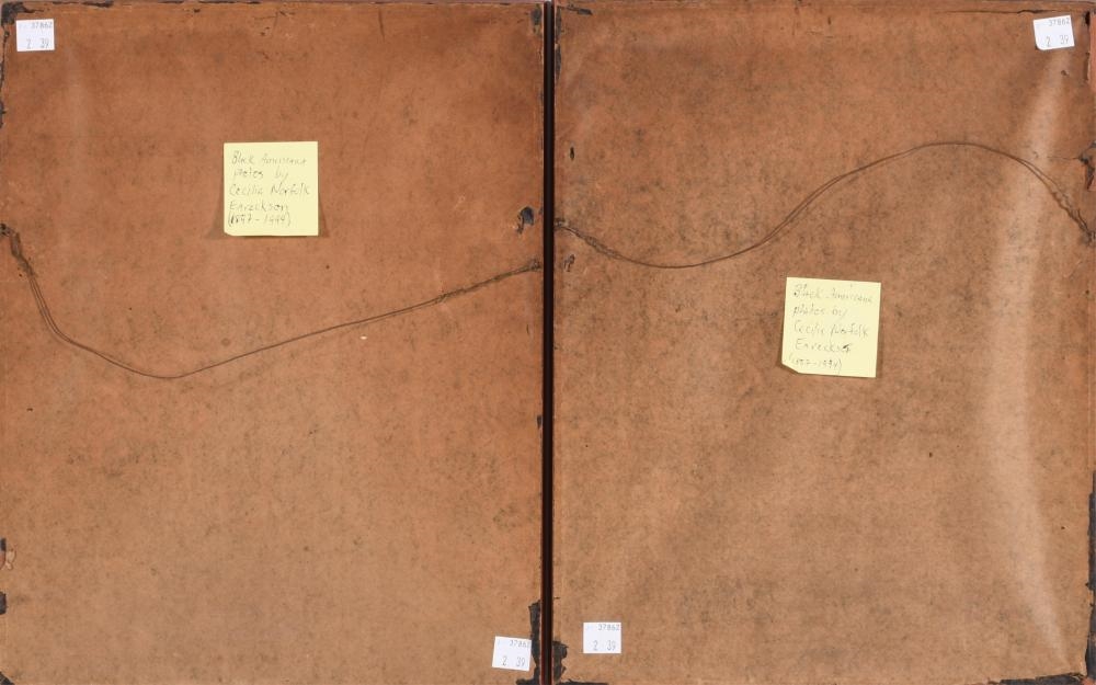 Artwork by Cecelia Norfolk Eareckson, A PAIR OF SILVER GELATIN PRINTS, Made of SILVER GELATIN PRINTS