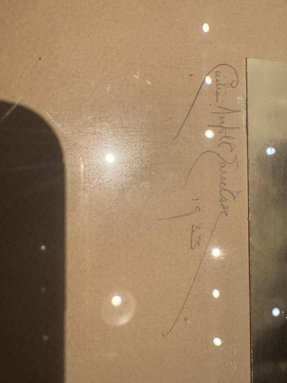 Artwork by Cecelia Norfolk Eareckson, A PAIR OF SILVER GELATIN PRINTS, Made of SILVER GELATIN PRINTS