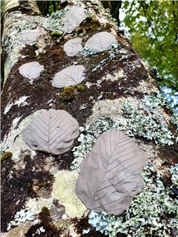 Ceramics in Nature - Galway Arts Centre