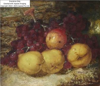 Still life of apples, pears and grapes on a bank;  - Henry Archibald Major