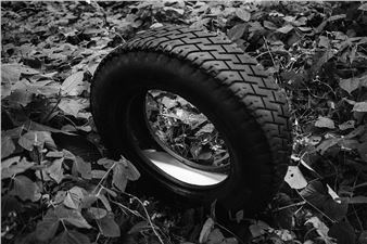 Exhibition Investigates the Role of the Human Being as an Actor Within the Ecosystem