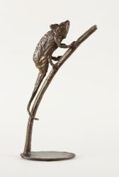 Caméléon - José Robert