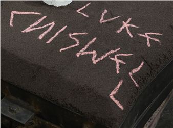 Luke Chiswell: To Spite One's Face - Goulburn Regional Art Gallery