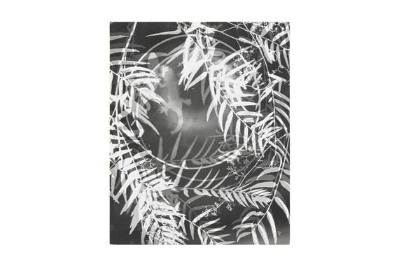 WILD PEPPER TREE & OBJECTS by Lou Landauer, 1940s