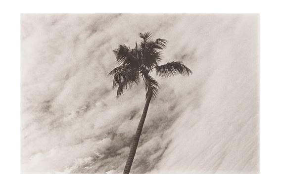 LANDSCAPE/LOFTSCAPE #7 by Marcia Resnick, 1976