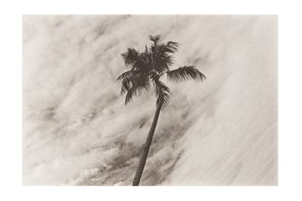 LANDSCAPE/LOFTSCAPE #7 - Marcia Resnick