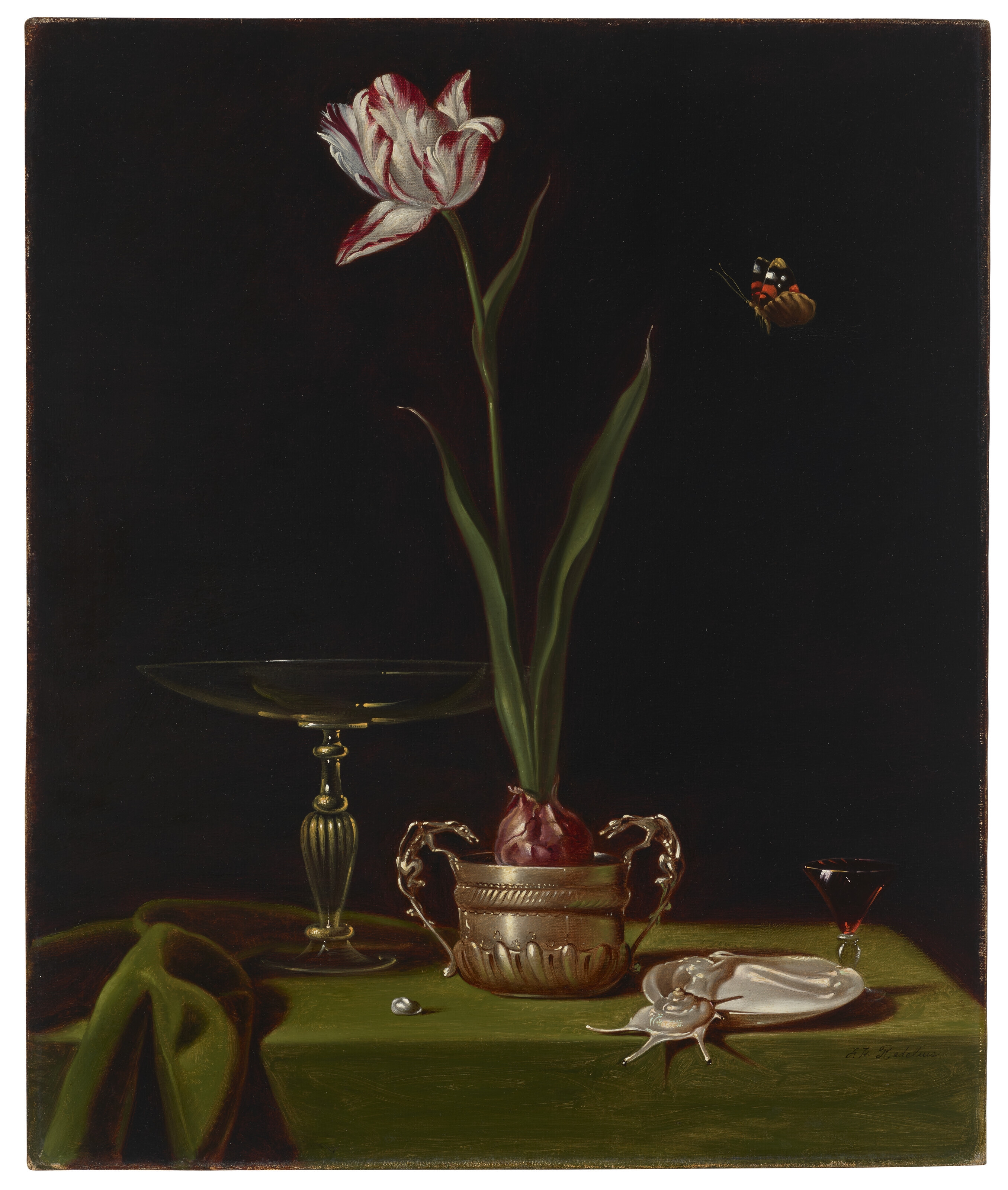 Frank H. Redelius | Spotted Tulip and Butterfly and White Petunias in ...