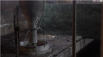 5th Gwangju Biennale Review: Disconcertingly Vague