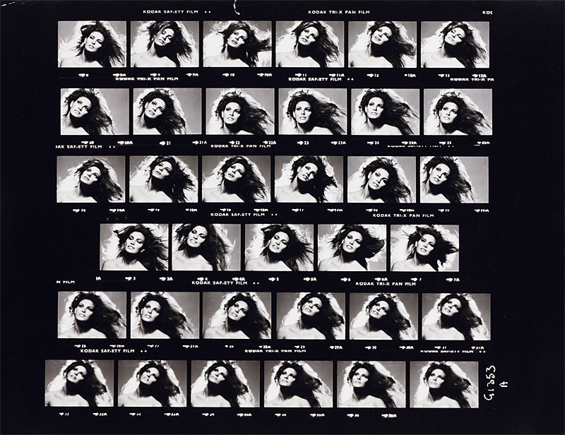 Artwork by Raquel Welch, David Bailey (* 1938), Raquel Welch