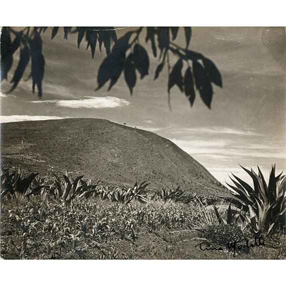Tina Modotti | Tina Modotti (1896–1942), Landscape | MutualArt