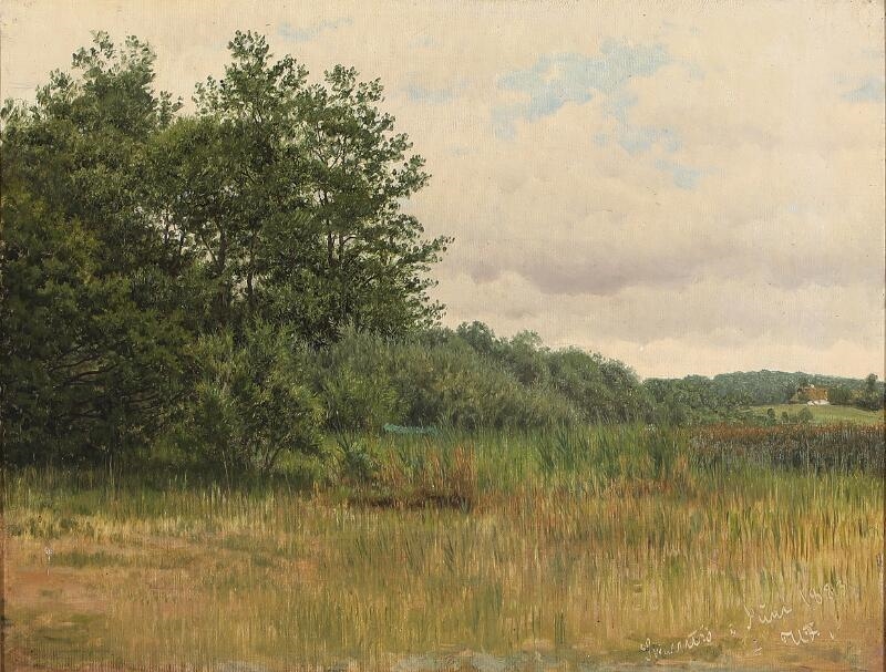 Artwork by Harald Frederik Foss, Scenery from Skarridsø, Made of Oil on canvas laid on canvas