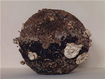 The 5 Best Shows to See in Turin Ahead of Artissima