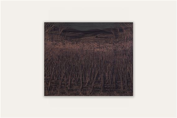 Francesco Cima: Vedrai, vedrai - Amanita, New York (Bowery)