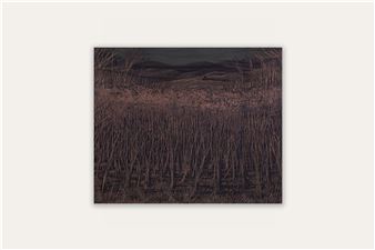 Francesco Cima: Vedrai, vedrai - Amanita, New York (Bowery)