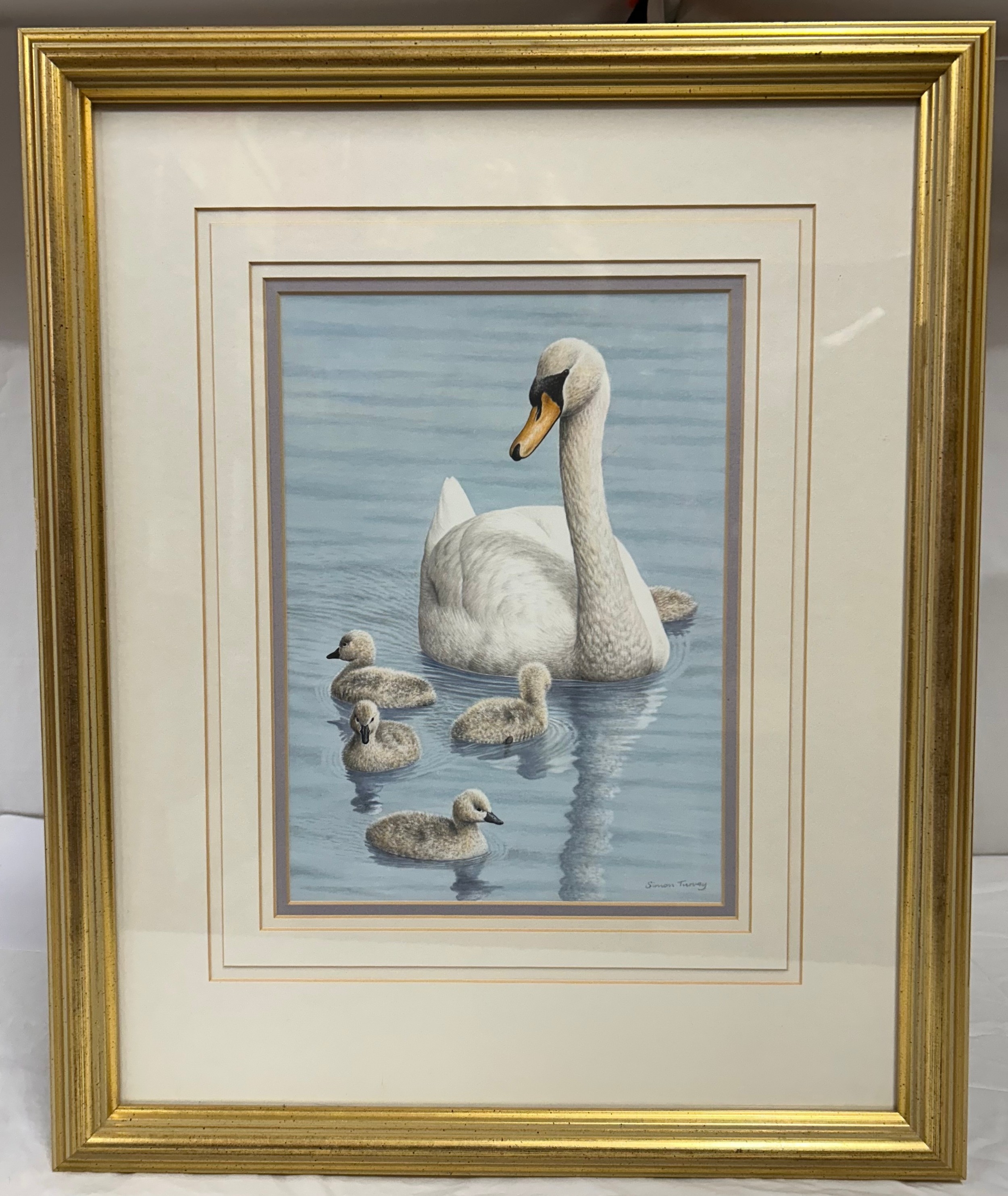 Simon Turvey | Swan and signets | MutualArt