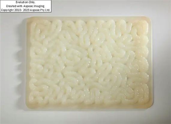 Rubber Mat by Mona Hatoum, 1996