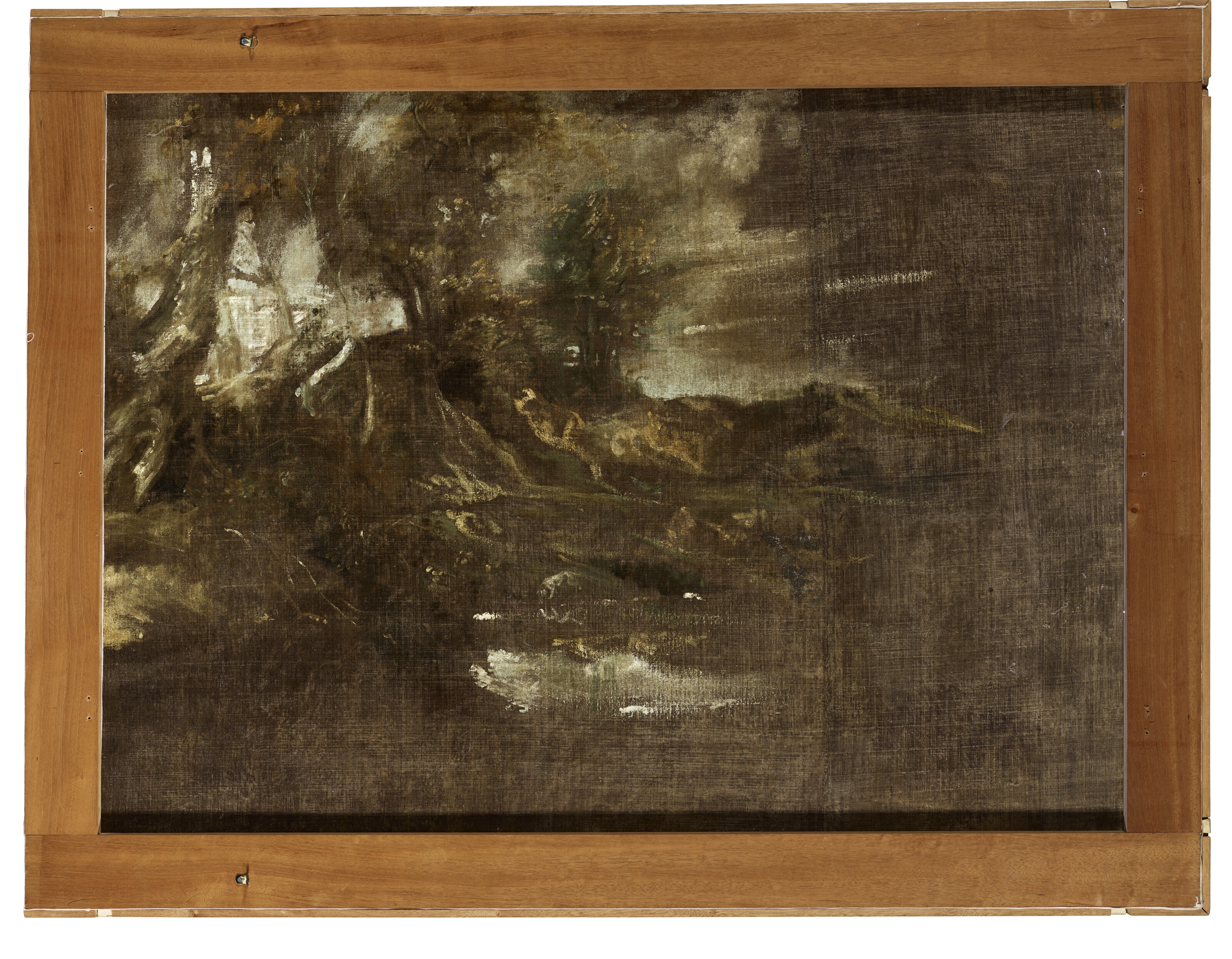 Artwork by Anthony van Dyck, An Andalusian horse (recto); A wooded landscape – a sketch (verso, Made of oil on canvas