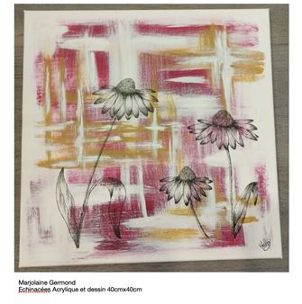 Échinacées - Marjolaine Germond
