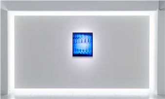 √K Collection 2024→2025 - Root K Contemporary