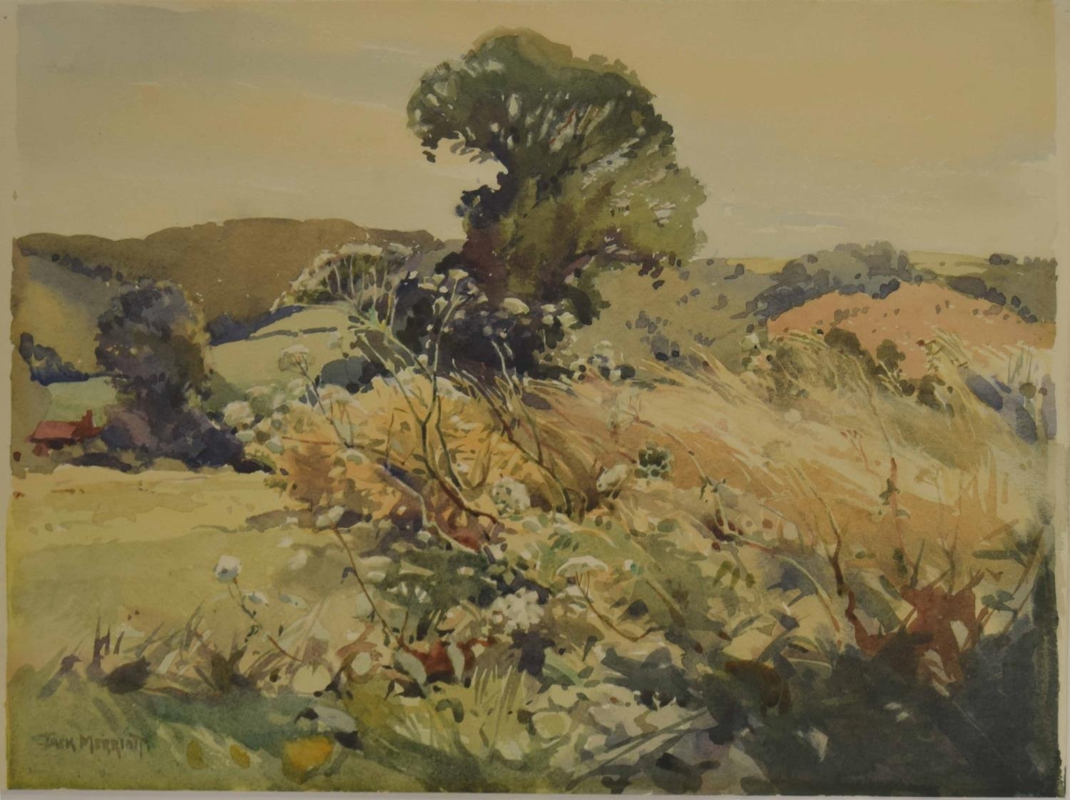 Jack Merriott | Springtime, sunlit landscape with trees and vegetation ...