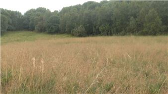 Amalie ‘Sveske’ Ourø: Performing / Becoming Landscape - Hunt Kastner