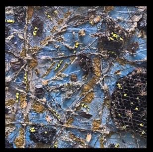 Dominick Takis: Pollination: Body And Soul - Atlantic Works Gallery