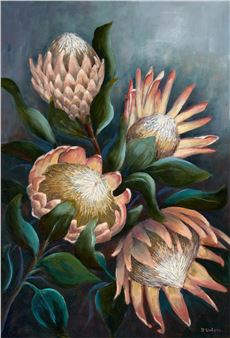 White Waratah Flowers - Renate Untaru