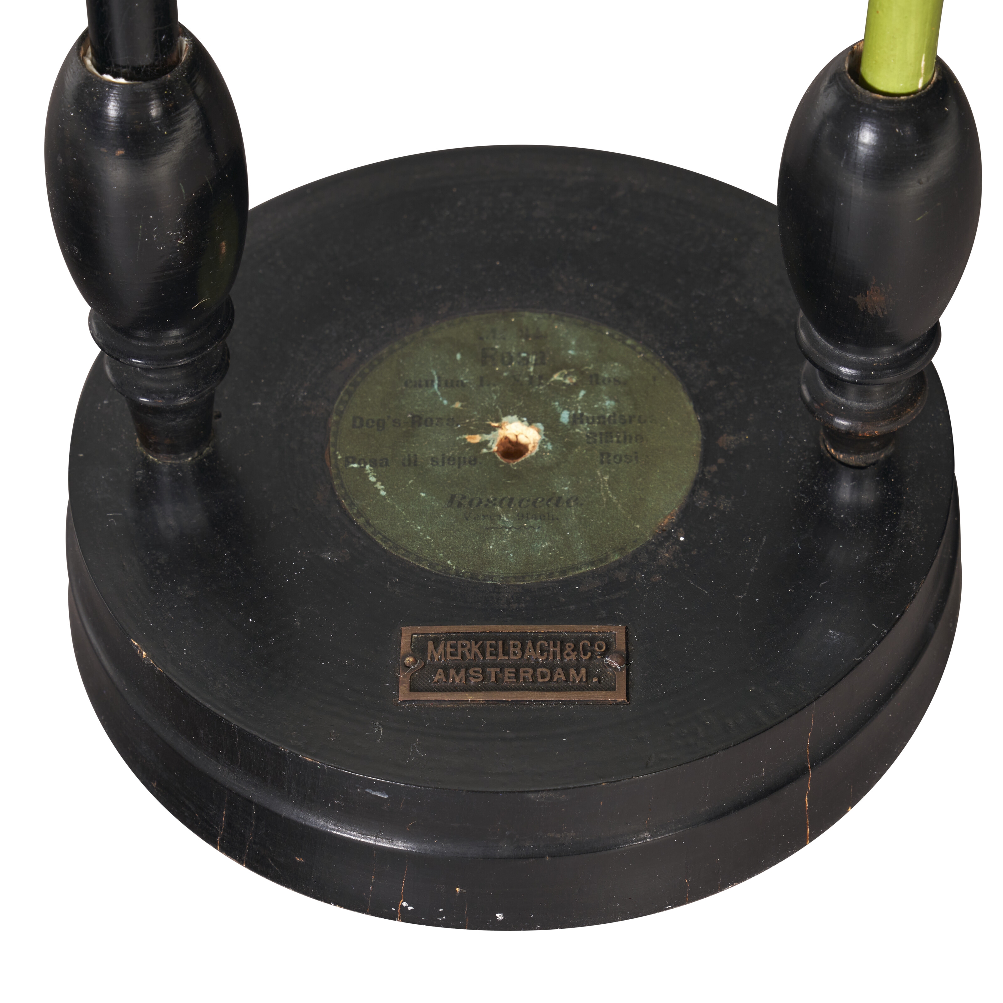 Artwork by Robert & Reinhold Brendel, FOUR GERMAN DIDACTIC BOTANICAL MODELS, Made of ebonized wood