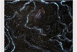 San José Museum of Art Presents Kambui Olujimi: North Star and Beta Space by Patty Chang and David Kelley
