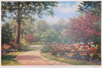 Summer Enchantment - Shaefer Miles