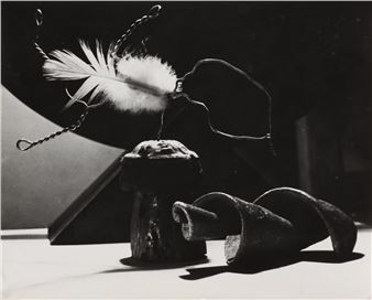 The 27th Edition of Paris Photo Places Dynamism and Diversity at Its Heart