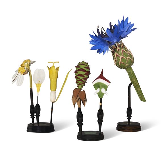 PAPIER-MACHE DIDACTIC BOTANICAL MODELS