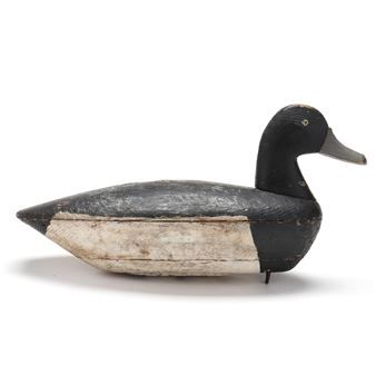 Bluebill - Irving Fulcher