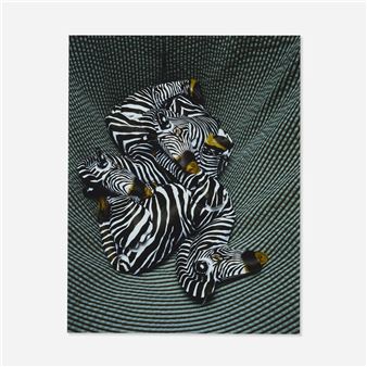 Untitled (Zebra) - Boyd Webb