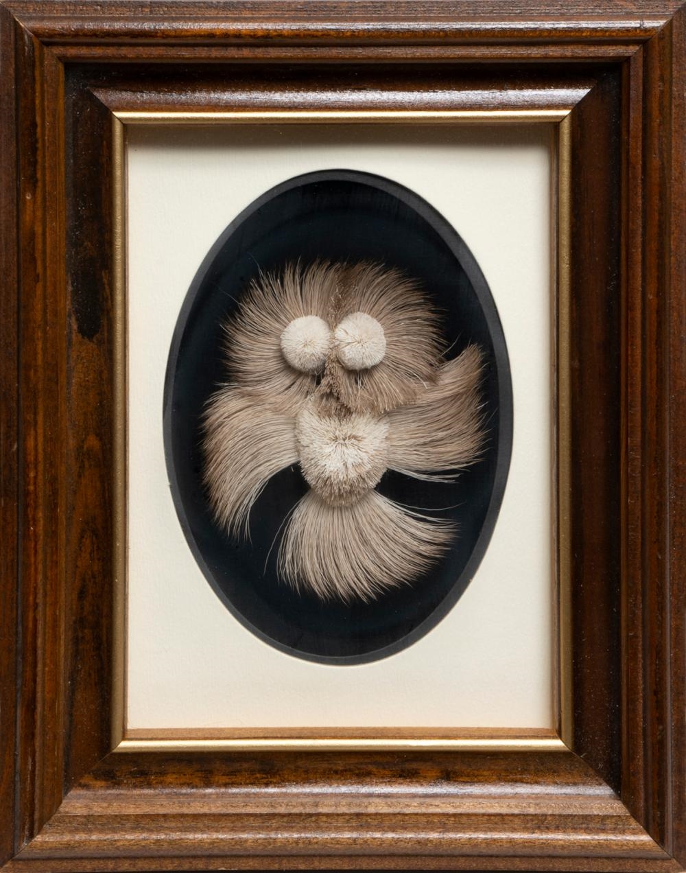 Artwork by Myrtle de Meulles, Untitled - Caribou Hair Owl, Made of mounted on velvet