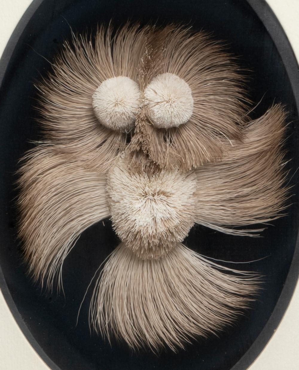 Artwork by Myrtle de Meulles, Untitled - Caribou Hair Owl, Made of mounted on velvet