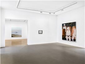 Roberto Cuoghi “Pepsis” at Galerie Chantal Crousel, Paris