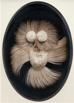 Untitled - Caribou Hair Owl - Myrtle de Meulles