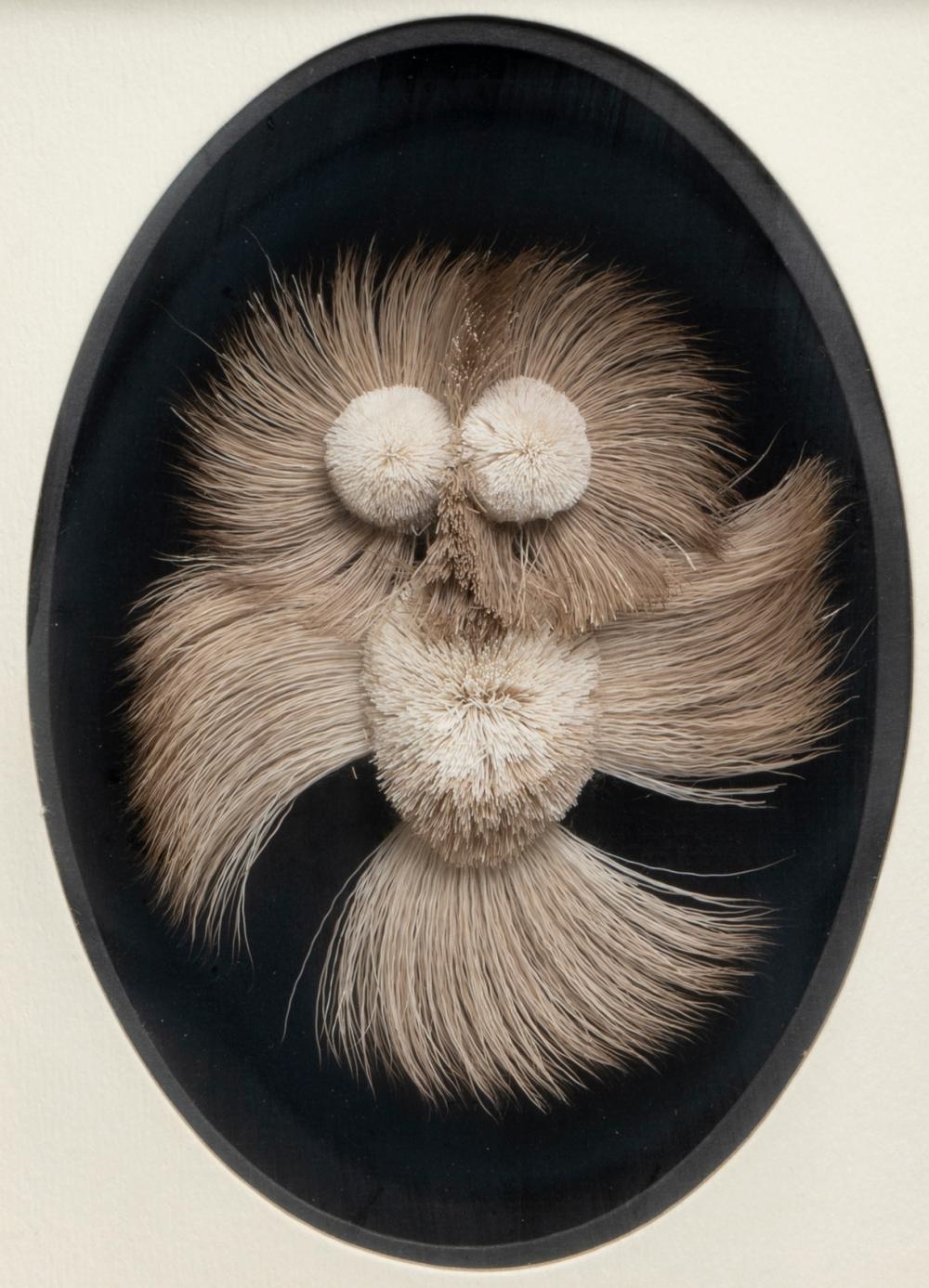Artwork by Myrtle de Meulles, Untitled - Caribou Hair Owl, Made of mounted on velvet