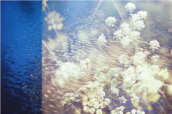 Mirrors - Eleanor Harwood Gallery