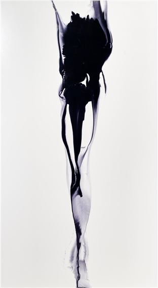 228 - ADRIAN HERMANIDES (BORN IN 1972 - Adrian Hermanides