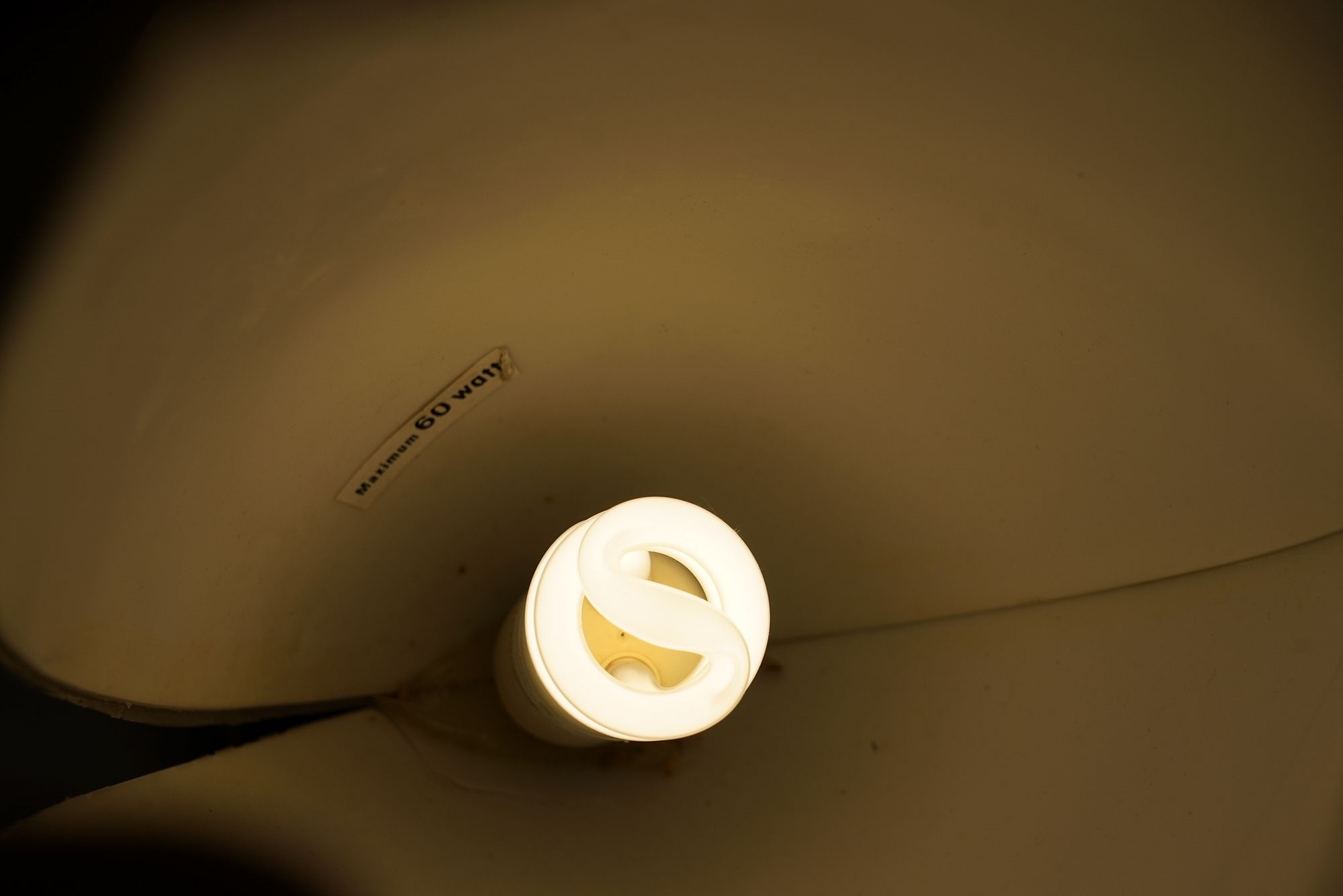 Artwork by Roger Rougier, Roger Rougier Clam Shell Table Lamp, Made of Metal base