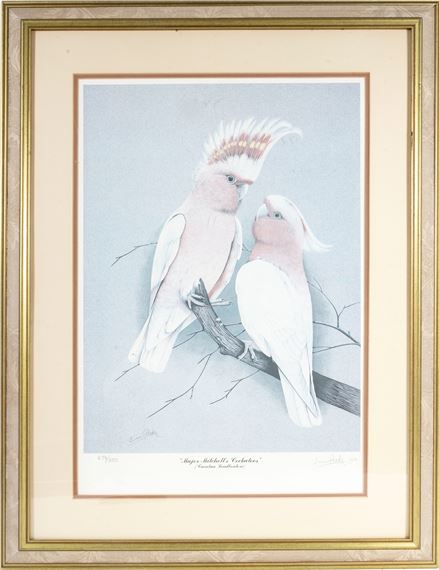 Major Mitchell's Cockatoos - Eric Peake