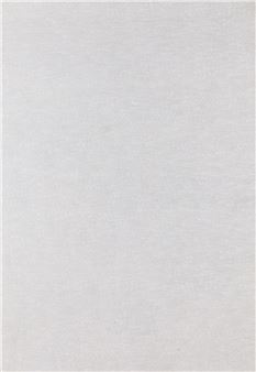 Detail 407817 - 434714" from series "1965/1 - Roman Opalka