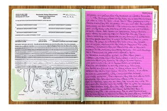 The Sky’s Fury Matches Mine: Art & the Archive of Indeterminate Release - Essex Flowers